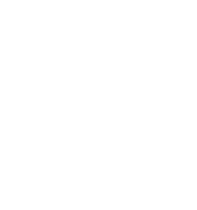 FDBG